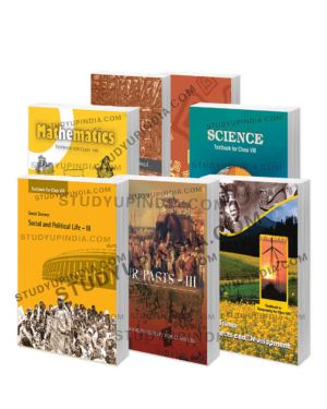 ncert class 8 books combo