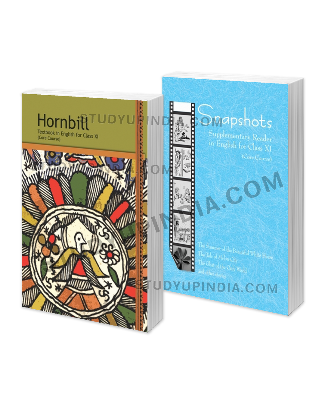 NCERT Class 11 Hornbill and Snapshot Combo English Medium